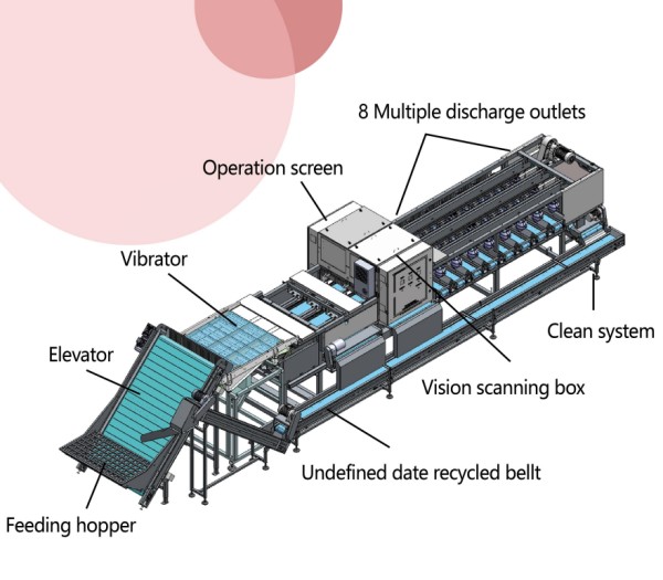 Revolutionizing Date Processing: The Rise of Automated Date Sorting Machines